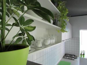a plant in a green pot in a kitchen at Sunset1, free private parking, pets welcome in Privlaka +50 photos