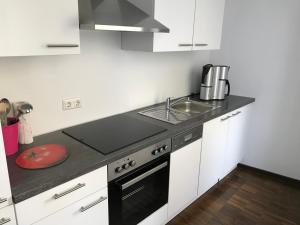 uma cozinha com um lavatório e um fogão forno superior em F & W Apartment em Erfurt