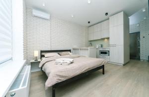 Kuchyňa alebo kuchynka v ubytovaní Comfort Town apartment