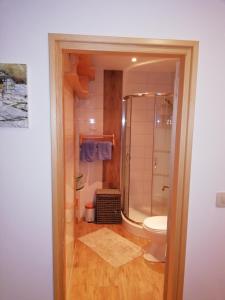 e bagno con servizi igienici, doccia e lavandino. di Apartments Blue & Green a Mošćenička Draga