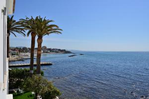 a view of a beach with palm trees and the ocean at Villa delle Palme in Santa Marinella