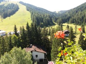 フォルガリーアにあるRifugio Di Paceの木々や家々が茂る渓谷の景色