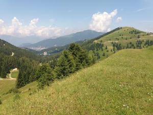 a grassy hill with trees and mountains in the background at Rifugio Di Pace in Folgaria