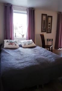 Afbeelding uit fotogalerij van Tore Hunds Apartments in Andenes