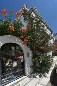 a gate with flowers on top of it at Πικροδάφνες in Tinos Town