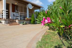 Zahrada ubytování Apartment Ana