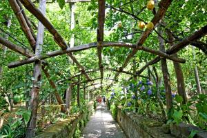 Vonkajšia záhrada v ubytovaní I Giardini di Cataldo Sorrento