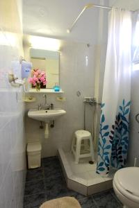 a bathroom with a sink and a toilet and a shower at Ktima Theofilos - Frideriki in Petrití