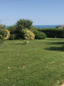 a large field of green grass with the ocean in the background at Villa Belvedere in Alexandroupoli