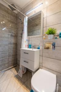 uma casa de banho com um WC, um lavatório e um chuveiro em Domek letniskowy u Anki Leba - Charbrowo em Degendorf