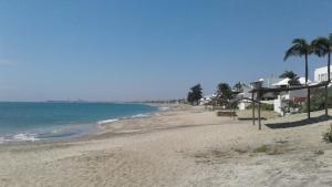 una playa de arena con palmeras y el océano en Casa KoKopelli, en Ballenita