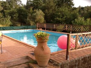 a vase with a plant in it next to a pool at Rifugio di campagna in Vitorchiano