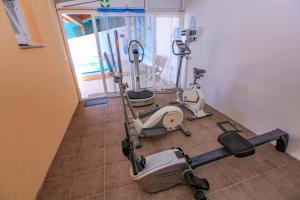 Fitness centrum a/nebo fitness zařízení v ubytování Vila Izabela