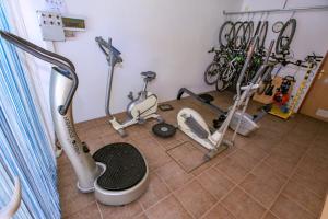 Fitness centrum a/nebo fitness zařízení v ubytování Vila Izabela