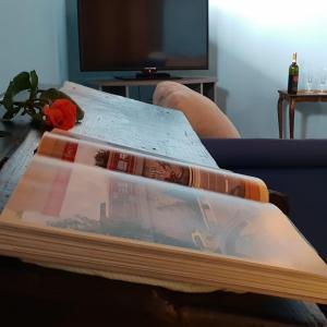 une pile de livres assis sur une table avec une télévision dans l'établissement Appartamento LUCE, à Volpiano