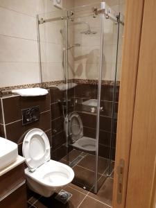 uma casa de banho com um WC e uma cabina de duche em vidro. em Konak Kutko em Pančevo