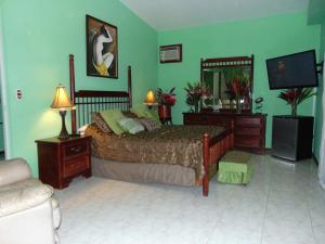 um quarto com uma cama e uma televisão em Casa Lima B&B em San José