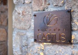 Um certificado, prêmio, placa ou outro documento exibido em Mykonos Cactus