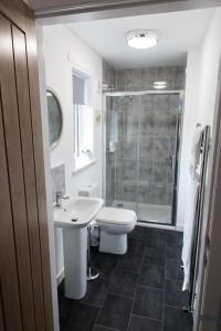 a bathroom with a toilet and a sink and a shower at The Forge Bed & Breakfast in Auchterarder