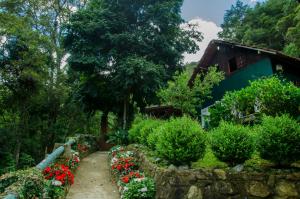 een pad in een tuin met bloemen en een gebouw bij Chalés Lirio dos Vales in Visconde De Maua