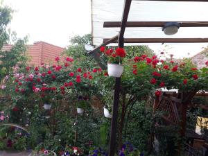 Ảnh trong thư viện ảnh của Pensiunea Cristina si Pavel ở Sighişoara