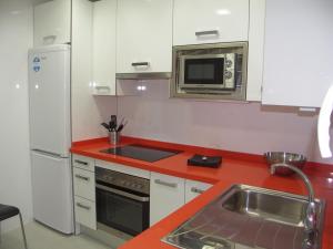 Kuchyň nebo kuchyňský kout v ubytování Apartamentos Plaza España