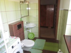 małą łazienkę z toaletą i umywalką w obiekcie Willawil w mieście Karpacz