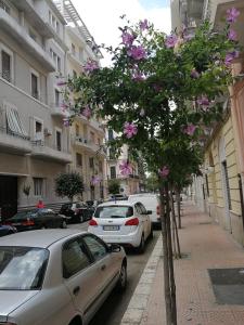Gallery image of Appartamento cuore al centro di Taranto in Taranto