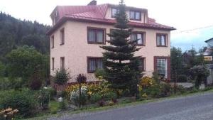 a house with a tree in front of a street at Pokoje Gościnne in Ujsoły