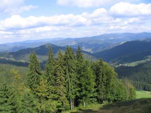 Paesaggio naturale nelle vicinanze dell'appartamento