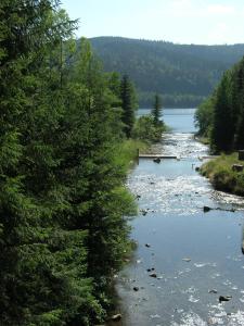 Paesaggio naturale nelle vicinanze dell'appartamento