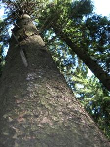 Paesaggio naturale nelle vicinanze dell'appartamento