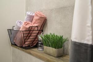 a bathroom shelf with towels and a plant on it at Downtown Apartment Rentals 2 in Šiauliai