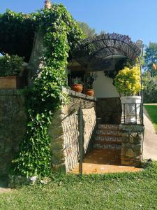 un arco con parete in pietra e scale con piante di Casa Rural La Presa a Valdeobispo