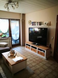 TV a/nebo společenská místnost v ubytování Feriendomizil-Sauerland FeWo 2