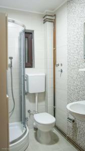 uma casa de banho com um WC, um chuveiro e um lavatório. em Green Forest Visoko em Visoko