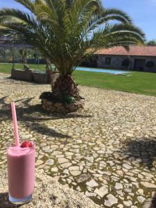 Photo de la galerie de l'établissement Quinta da Vinha Morta, à Lamego