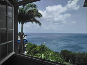 a window view of the ocean with a palm tree at L'apparté enchantée in Schœlcher