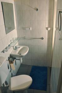 a bathroom with a toilet and a sink at Penzion Real in Žiar