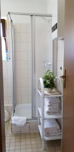 a bathroom with a shower and a plant on a shelf at Haus Schneider in Winterberg