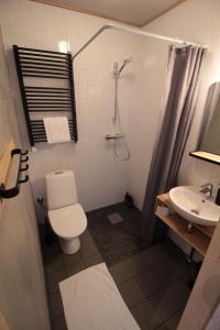 uma casa de banho com um WC e um lavatório em Davids Kulle em Ronneby