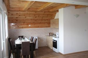 Köök või kööginurk majutusasutuses Apartmani Prisoje