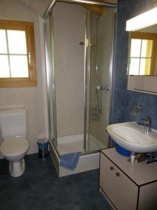 ein Bad mit einer Dusche, einem WC und einem Waschbecken in der Unterkunft Am Eigen in Grindelwald
