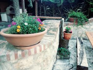 A garden outside Parco Sogni d'Oro