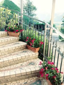 A garden outside Parco Sogni d'Oro