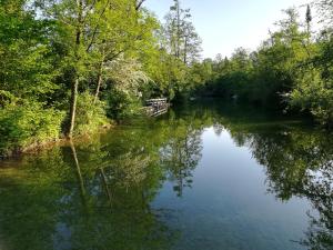 Paesaggio naturale nelle vicinanze dell'appartamento