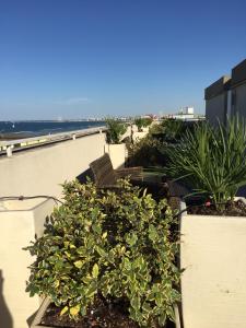 a group of plants on top of a building at Hotel Byron in Rimini