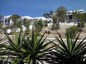 a group of plants in front of a building at Paleochori Studios in Paliochori