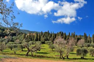 a field with trees and a blue sky with clouds at Agriturismo Pimpinnacolo in Porto Ercole