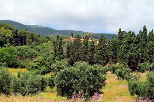a house in the middle of a field with trees at Agriturismo Pimpinnacolo in Porto Ercole